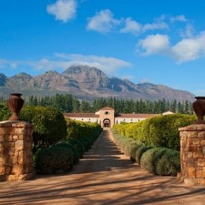 Waterford wine estate